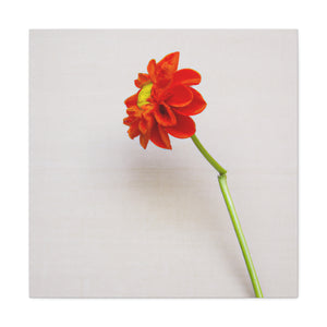 "Kazimir Malevich Inspiration: Hand-Painted Flower Canvas Print" by PenPencilArt