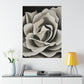 "Georgia O'Keeffe-Inspired Death Poster: Modern Floral Home Decor" by PenPencilArt