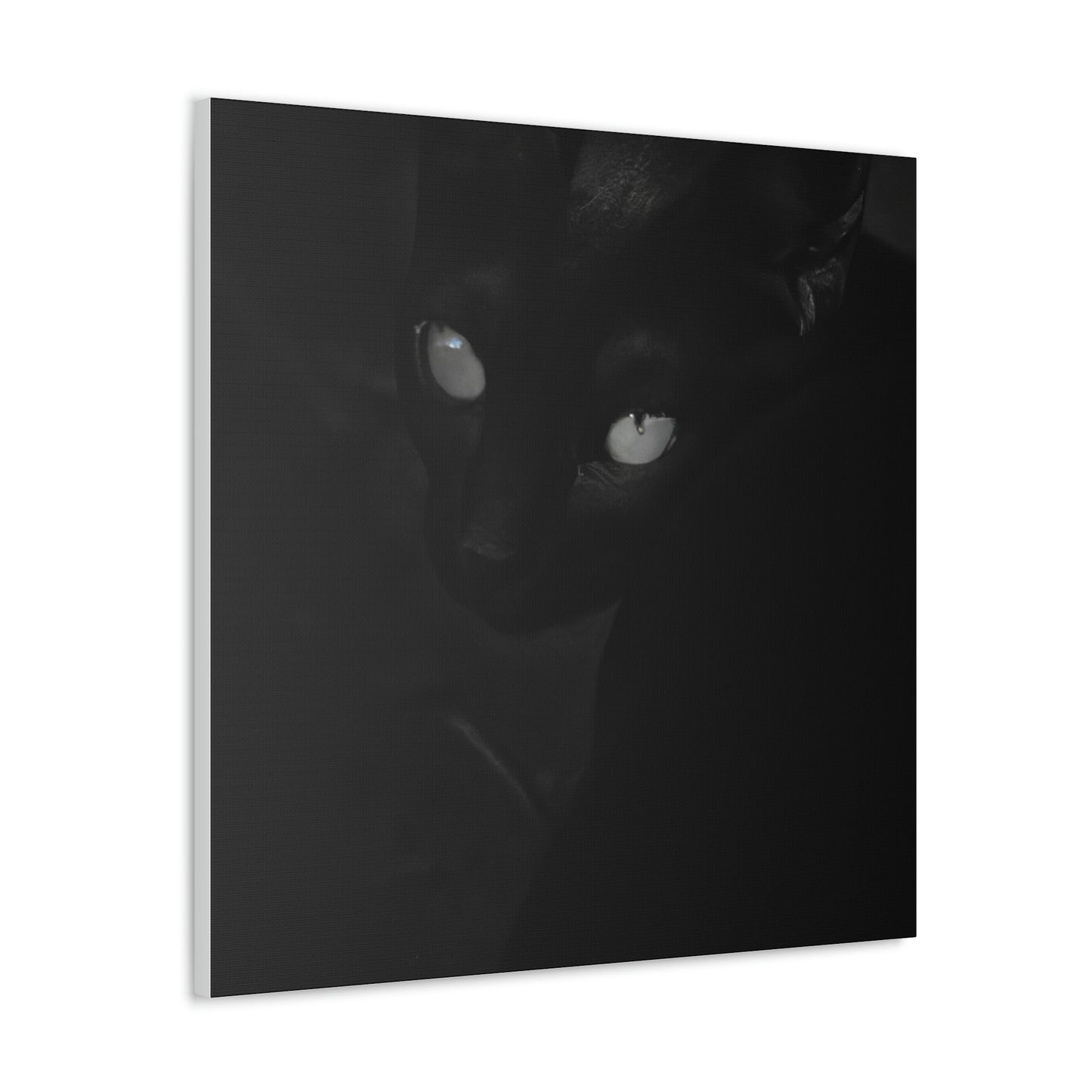 "Mel Ramos-Inspired Black Cat Canvas Print" by PenPencilArt